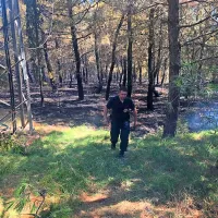 Ogenj je uničil najmanj šest hektarjev borovega gozda.