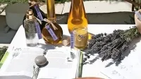 Na razpis se letos prvič lahko prijavijo tudi društva in posamezniki 
z registrirano dopolnilno dejavnostjo.