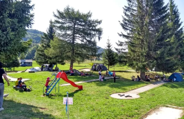 Lokve so spet vse bolj priljubljene