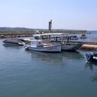 Razpadajoče ribiško pristanišče na Seči bi lahko začeli obnavljati 
letos, naložbo pa dokončali prihodnje leto.  