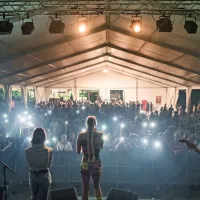 Vsi okusi sočnih breskev