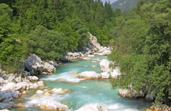 Družina je hodila po tako imenovani Soški poti, ko je dveletniku na 
robu poti spodrsnilo.