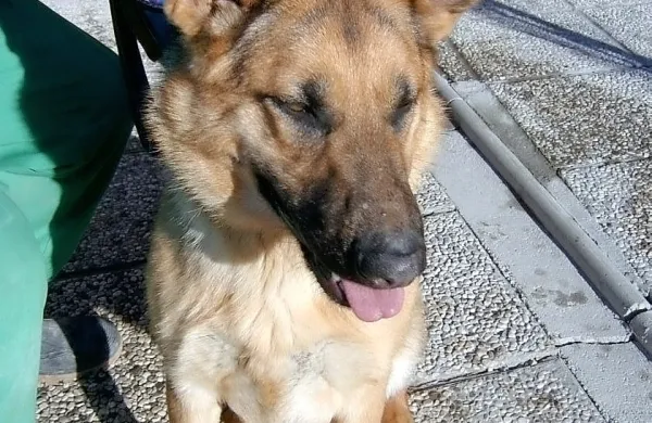 Fotografija je simbolična.