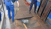 Članom združbe so med kriminalistično preiskavo v različnih 
evropskih državah zasegli skoraj tono različnih prepovedanih 
drog.  