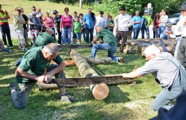 Tradicionalna prireditev je namenjena ohranjanju kulturne, etnološke in etnografske dediščine na Postojnskem ter obujanju 
starih običajev in navad pri delu v gozdu in na polju ter 
vsakdanjem življenju v vaseh Pudgure.