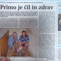 V Potoku v zaledju Kopra se je po dolgih letih stelil prvi slovenski 
boškarin. 

