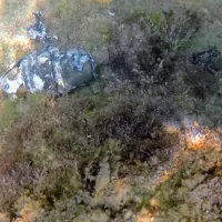 V morju pred Simonovim zalivom je športni potaljač našel ročno 
bombo breda italijanske izdelave iz druge svetovne vojne.