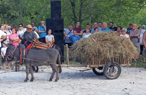 Na mu&scaron;ih, ki so jih tekmovalci letos le usmerjali, so jezdile lutke