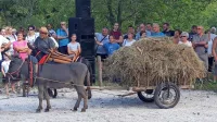 Na mu&scaron;ih, ki so jih tekmovalci letos le usmerjali, so jezdile lutke