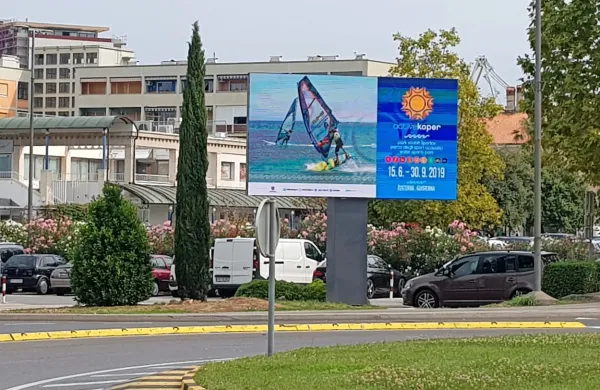 Staro cipreso so posekali, ker je tolkla ob zaslon