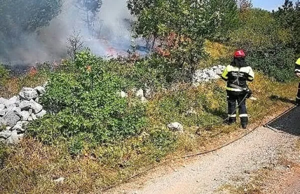Na Cerju v občini Miren-Kostanjevica je zagorel gozd, in sicer v 
okolici pomnika miru. 