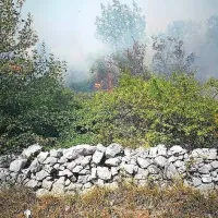 Gori na Cerju