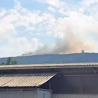 Gori na Cerju