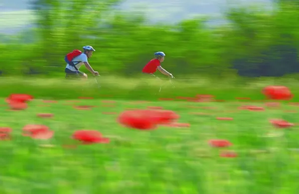 Fotografija je simbolična.