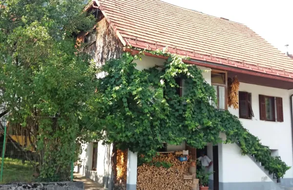&ldquo;Bu&scaron;ki ganjk an binika&rdquo;