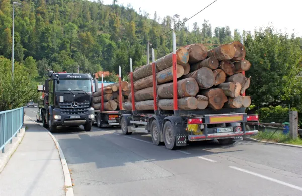 Prebivalci Kosovelove ulice pravijo, da takšnega prometa, za 
katerega je ulica neprimerna, hrupa, tresljajev, smradu in varnostne ogroženosti ne prenesejo več.  