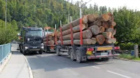 Prebivalci Kosovelove ulice pravijo, da takšnega prometa, za 
katerega je ulica neprimerna, hrupa, tresljajev, smradu in varnostne ogroženosti ne prenesejo več.  