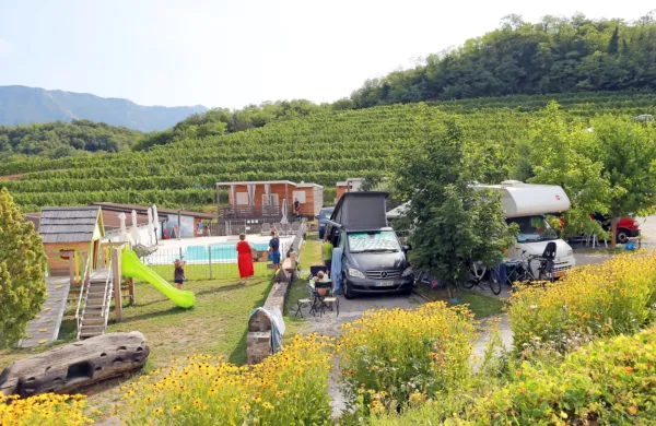 Pri Saksidovih v Zaloščah so lani decembra prejeli znak Ecocamping, kar se jim pozna tudi pri obisku v letošnji sezoni.