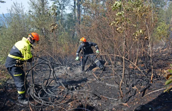 Zagorelo je nad cesto Ajdov&scaron;čina &ndash; Col