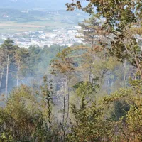 Zagorelo je nad cesto Ajdov&scaron;čina &ndash; Col