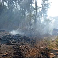 Zagorelo je nad cesto Ajdov&scaron;čina &ndash; Col