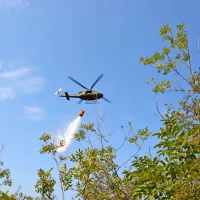 Zagorelo je nad cesto Ajdov&scaron;čina &ndash; Col