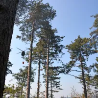 Zagorelo je nad cesto Ajdov&scaron;čina &ndash; Col