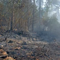 Zagorelo je nad cesto Ajdov&scaron;čina &ndash; Col
