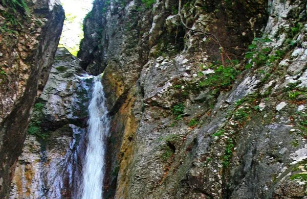 Sušec