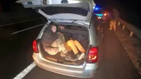 Pakistanec je v svojem vozilu prevažal deset prebežnikov, trije so 
se stiskali tudi v prtljažniku (fotografija je simbolična).