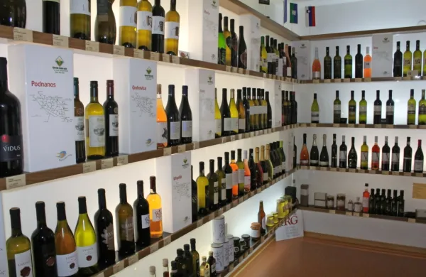 Vinsko obarvani večeri so napovedali  Vipavsko trgatev.