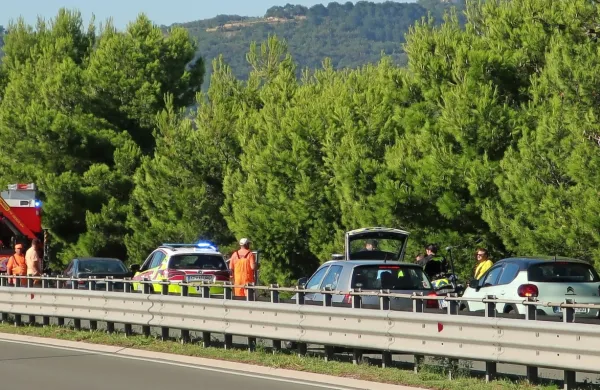 Po trku je avto odbilo &scaron;e v drevo