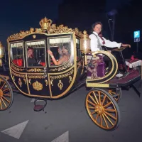 Med lepoticami je slavila Stela