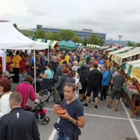 Na svetovnem festivalu pojedli več tisoč porcij praženega krompirja