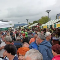 Na svetovnem festivalu pojedli več tisoč porcij praženega krompirja
