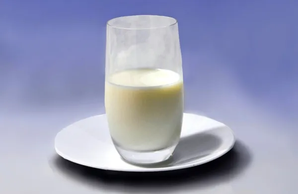 Mleko so ljudje pili že v neolitiku