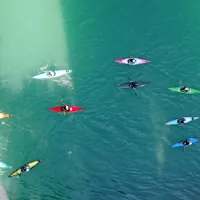 So&scaron;ka regata kot spodbuda razvoju vodnih &scaron;portov