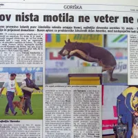 BILO JE: Napad na dvojčka