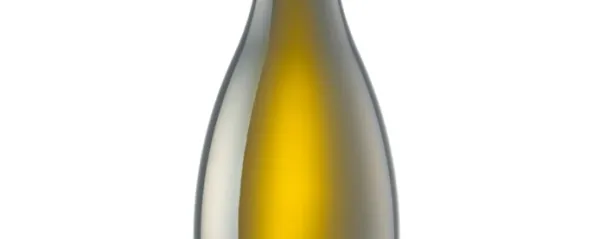 VINO: Chardonnay (Gjerke&scaron;)