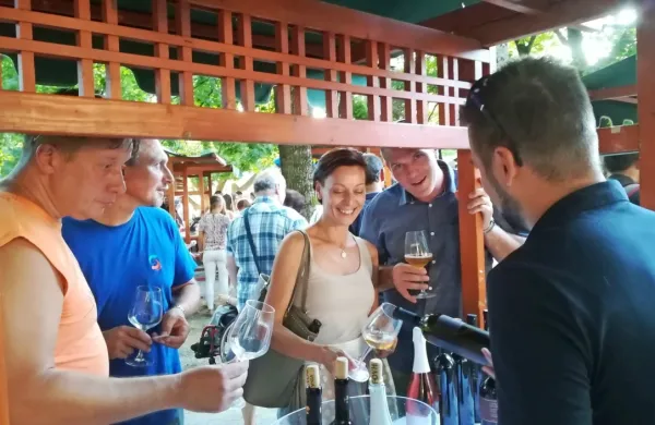 Na festivalu vipavskih vin se je  predstavilo 25 vinarjev iz vipavske 
občine.