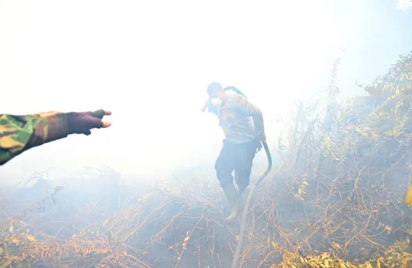 V Indoneziji se borijo z obsežnimi gozdnimi požari