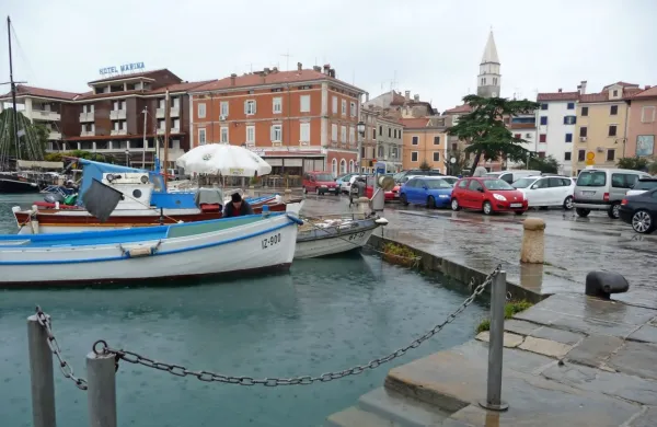 272-mandrac_izola

