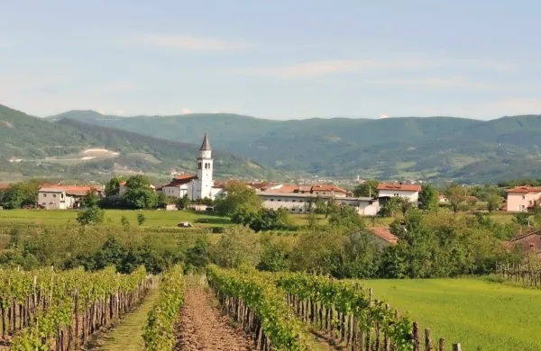 Na Slapu pri Vipavi bodo jutri ob 16. uri  slovesno odprli slikovito  
učno pot Med divje.