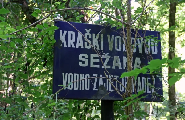 Predvsem v Istri vodno zajetje Padež vidijo kot eno  od rešitev za 
trajno zanesljivo vodno oskrbo Istre. 