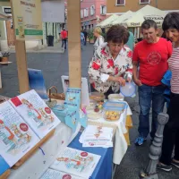 Istra - sladka, zelena in dobrodelna
