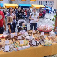 Istra - sladka, zelena in dobrodelna