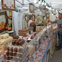 Okusov ne manjka, tako in drugače