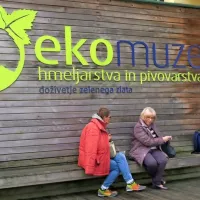 FOTO: Z bralci v deželi zelenega zlata