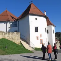 FOTO: Z bralci v deželi zelenega zlata
