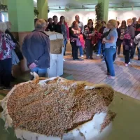 V           Ekomuzeju hmeljarstva in pivovarstva so  izvedeli  vse o hmelju in 
pivu.        